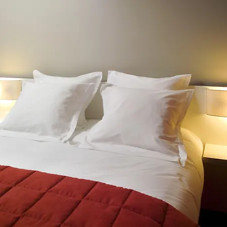 Centre Berthelot 4* ליון