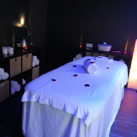 Centre Berthelot 公寓式酒店 4*