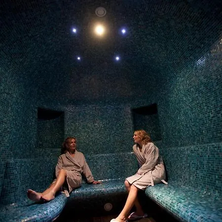 Centre Berthelot 4* Lione